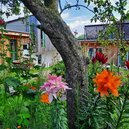 Sonne Am Sund Stralsund