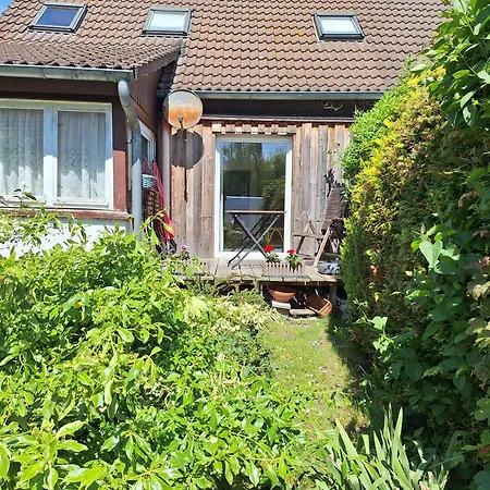 Sonne Am Sund