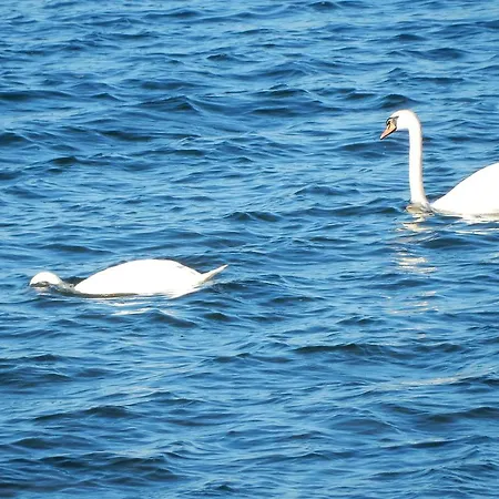 Sonne Am Sund * Stralsund