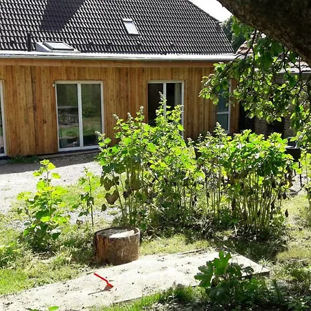 Sonne Am Sund Stralsund