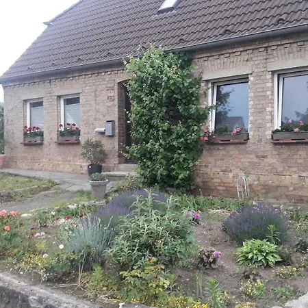 Sonne Am Sund * Stralsund